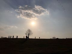 -LELECHA乐乐茶(新街口大洋店)