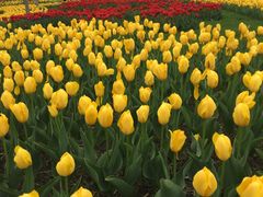 -长春公园(普阳街道)