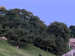 -燕儿岛山公园