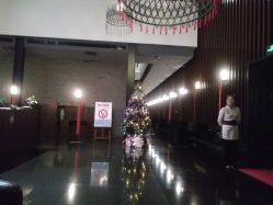 -西安威斯汀大酒店·宴会厅