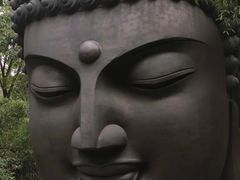 -杭州植物园