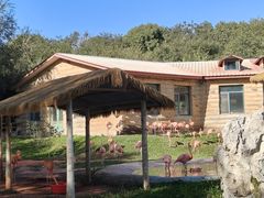 -哈尔滨北方森林动物园