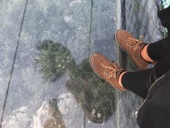 -梦幻奥陶纪景区