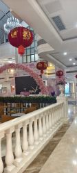 -禾丽康美医疗美容医院