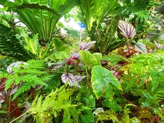 -国家植物园南园