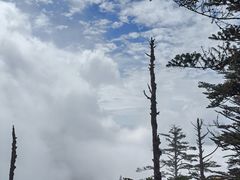 -瓦屋山景区