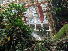 -正佳雨林生态植物园