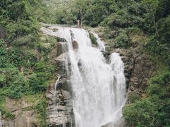 -海南热带雨林国家公园吊罗山景区