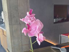 -大鸭梨烤鸭(望京店)