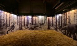 -恐龙探索乐园(磁器口店)