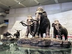 -大庆市博物馆
