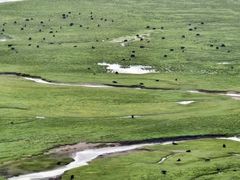 -郭莽湿地