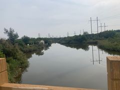-大港湿地公园