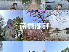 -东湖落雁景区