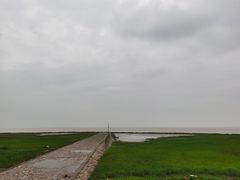 -南汇嘴观海公园