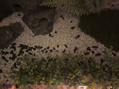 -水秀坊·足道 SPA (巨鹿店)