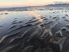 -台山黑沙湾海浴场