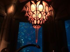-迪拜水族馆及水下动物园