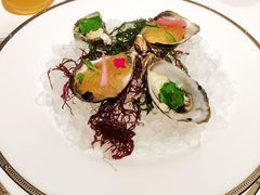 -SIR ELLY'S 艾利爵士餐厅