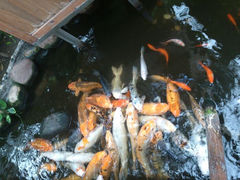 android_upload_pic-上海大自然野生昆虫馆