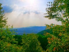 -火炉山森林公园