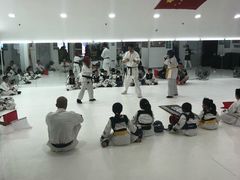 -极真空手道修远道场