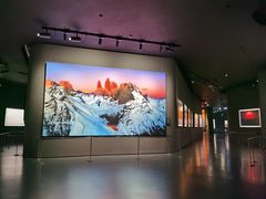 -罗红摄影艺术馆