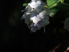-城隍阁