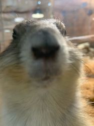 -Zoolung Zoolung动物主题公园(海信广场店)