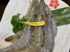 -道乐烧肉酒馆