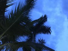 -越海渔村
