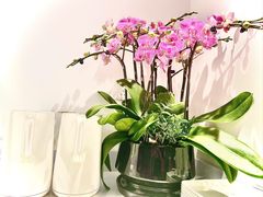 -LANN I 蘭 SPA(陆家嘴中心店)