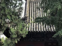 -洛阳白马寺
