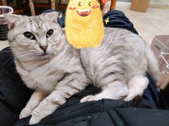 -闸弄口(地铁站)