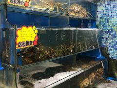 水产区-蚝专家(北滘店)