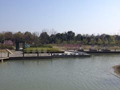 iphone_upload_pic-白塘生态植物园