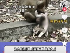-昆明动物园