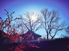 -红螺寺