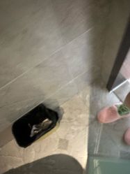 -皇家月府月子中心(沈阳店)