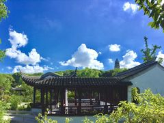 -荷塘月色湿地公园·向阳花洲