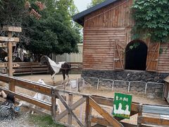 -HERRE·FARM 赫尔露营农场·团建聚会包场