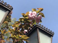 -上海虹桥迎宾馆