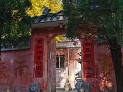 -妙道山国家森林公园