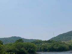 -镇江市南山风景名胜区竹林景区