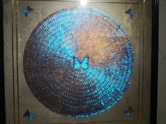 -上海昆虫博物馆