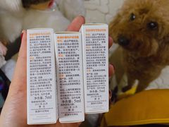 -新世界大丸百货