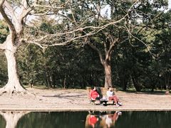 -上海共青森林公园