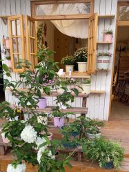 -DORA kids 朵拉儿童摄影花园店