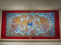 -上海昆虫博物馆