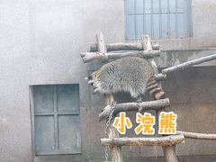 -西安秦岭野生动物园